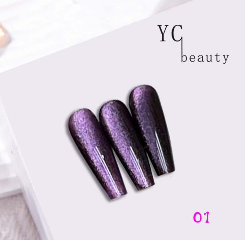 4pcs/lot RetroLight Cat Eye Nail Polish Set