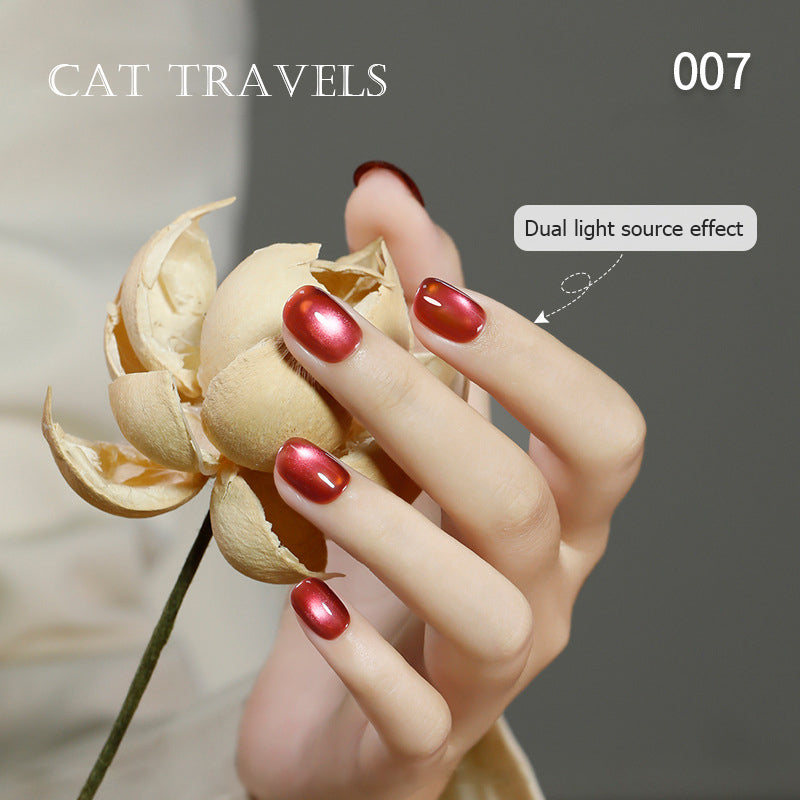 24pcs/lot Cat Travel Set Cat Eye Nail Gel Polish Set