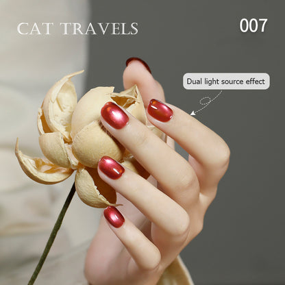 24pcs/lot Cat Travel Set Cat Eye Nail Gel Polish Set