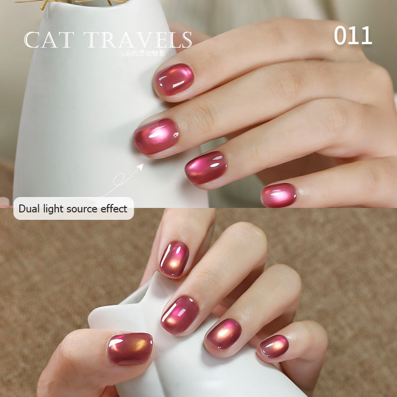 24pcs/lot Cat Travel Set Cat Eye Nail Gel Polish Set