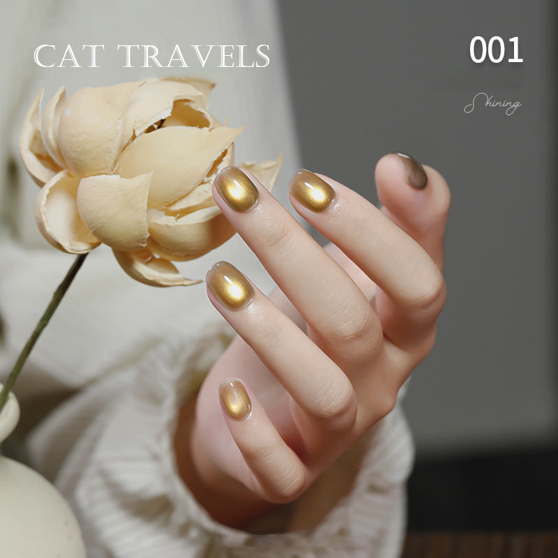 24pcs/lot Cat Travel Set Cat Eye Nail Gel Polish Set