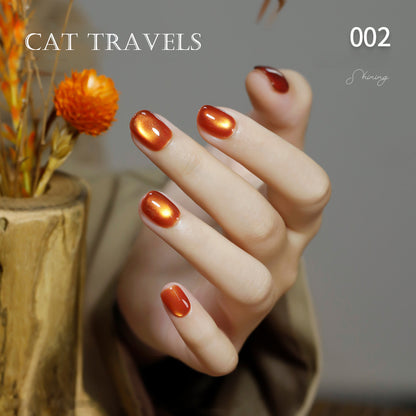 24pcs/lot Cat Travel Set Cat Eye Nail Gel Polish Set