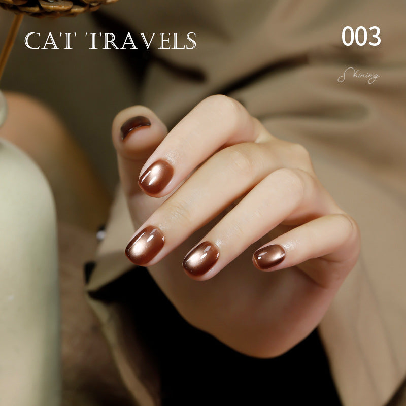 24pcs/lot Cat Travel Set Cat Eye Nail Gel Polish Set