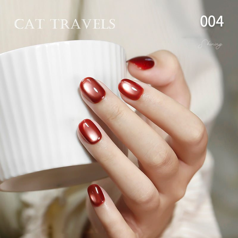 24pcs/lot Cat Travel Set Cat Eye Nail Gel Polish Set