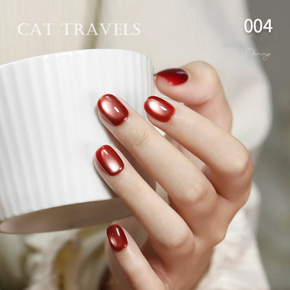 24pcs/lot Cat Travel Set Cat Eye Nail Gel Polish Set